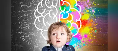 7 alimentos para aumentar la capacidad cerebral de tu hijo 7 alimentos para aumentar la capacidad cerebral de tu hijo