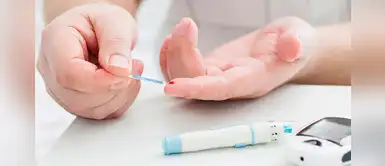 Batidos saludables y deliciosos para regular los niveles de glucosa Batidos saludables y deliciosos para regular los niveles de glucosa