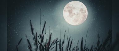 Luna en Libra: Dulzura y armonía reinará en este día Luna en Libra: Dulzura y armonía reinará en este día