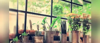 Convierte a tu hogar en un lugar inspirador con objetos accesibles Convierte a tu hogar en un lugar inspirador con objetos accesibles