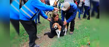 Costa Verde: rescatan a perrito que quedó atrapado en geomallas Costa Verde: rescatan a perrito que quedó atrapado en geomallas