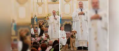 Sacerdote rescata perros callejeros e incentiva la adopción durante misa Sacerdote rescata perros callejeros e incentiva la adopción durante misa