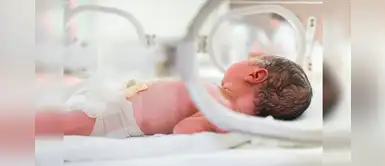 ¿Por qué es importante el uso de incubadoras en los bebés? ¿Por qué es importante el uso de incubadoras en los bebés?