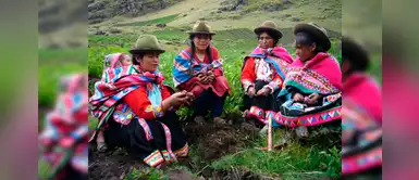 Día de la Mujer Indígena: Historia de lucha y resistencia Día de la Mujer Indígena: Historia de lucha y resistencia