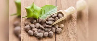 ¿Sabías que el sacha inchi ayuda a prevenir enfermedades cardiovasculares? ¿Sabías que el sacha inchi ayuda a prevenir enfermedades cardiovasculares?