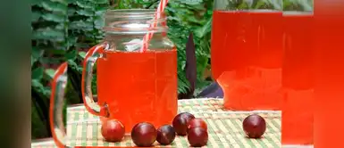 Jugo de camu camu: prepara un exquisito refresco natural amazónico Jugo de camu camu: prepara un exquisito refresco natural amazónico