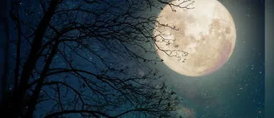 Luna llena en Piscis: Estas son las predicciones para los signos de fuego Luna llena en Piscis: Estas son las predicciones para los signos de fuego