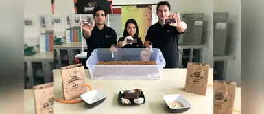 Peruanos crean barra nutritiva a base de insectos y son premiados mundialmente Peruanos crean barra nutritiva a base de insectos y son premiados mundialmente