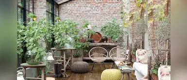 Por estas razones deberías incluir plantas y flores en la decoración de tu hogar u oficina Por estas razones deberías incluir plantas y flores en la decoración de tu hogar u oficina