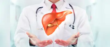 Hígado inflamado: prueba estas infusiones naturales para aliviar los síntomas Hígado inflamado: prueba estas infusiones naturales para aliviar los síntomas