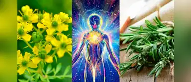 Rituales con romero para alejar la mala energía y comenzar bien la semana Rituales con romero para alejar la mala energía y comenzar bien la semana