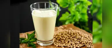 ¡Rica y nutritiva! Deliciosa leche de soya para un desayuno saludable ¡Rica y nutritiva! Deliciosa leche de soya para un desayuno saludable