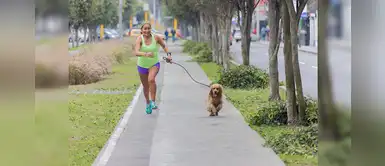 Mascotón 2019: Participa gratis junto a tus perros en la maratón Mascotón 2019: Participa gratis junto a tus perros en la maratón