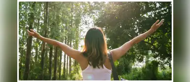 Elimina el estrés con los baños de bosque Elimina el estrés con los baños de bosque