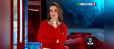 Melissa Peschiera: Poder Judicial abre proceso penal contra acosador de conductora Melissa Peschiera: Poder Judicial abre proceso penal contra acosador de conductora