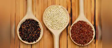 Alimentos andinos: conoce sus propiedades curativas y la forma correcta de consumirlos Alimentos andinos: conoce sus propiedades curativas y la forma correcta de consumirlos