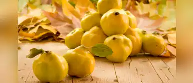 Membrillo: conoce los beneficios que brinda este superalimento Membrillo: conoce los beneficios que brinda este superalimento