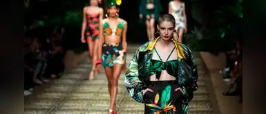 Dolce & Gabbana lanza colección inspirada en la “jungla” ¡Amarás estas prendas! Dolce & Gabbana lanza colección inspirada en la “jungla” ¡Amarás estas prendas!