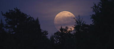 Así afectará la última Superluna de 2019 a los signos de agua y aire Así afectará la última Superluna de 2019 a los signos de agua y aire