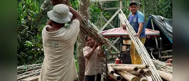 Medio Ambiente: ¿Sabías que el bambú puede reemplazar el plástico o la madera? Medio Ambiente: ¿Sabías que el bambú puede reemplazar el plástico o la madera?
