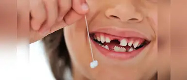 ¿Sabías que el autismo y el TDAH se pueden identificar a través de los dientes? ¿Sabías que el autismo y el TDAH se pueden identificar a través de los dientes?