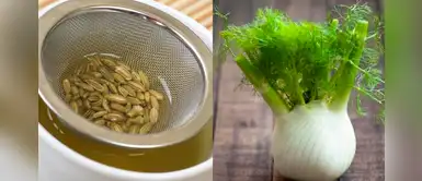 Semilla de hinojo: Conoce los beneficios de consumir este alimento Semilla de hinojo: Conoce los beneficios de consumir este alimento