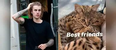 Justin Bieber es criticado por comprar gatos exóticos y él se defiende así Justin Bieber es criticado por comprar gatos exóticos y él se defiende así