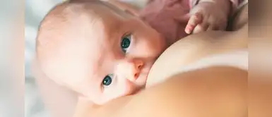 ¿Qué alimentos deben evitarse durante la lactancia? Aquí te lo decimos ¿Qué alimentos deben evitarse durante la lactancia? Aquí te lo decimos