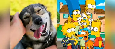 ¿Buscas un nombre divertido para tu perrito? Mira está lista inspirada en Los Simpson ¿Buscas un nombre divertido para tu perrito? Mira está lista inspirada en Los Simpson