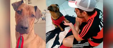 Hincha vende su entrada de la Copa Libertadores para pagar el tratamiento de su perrito Hincha vende su entrada de la Copa Libertadores para pagar el tratamiento de su perrito