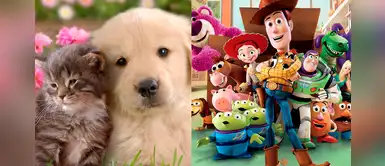 ¿Buscas un nombre para tu mascota? Mira esta lista inspirada en Toy Story ¿Buscas un nombre para tu mascota? Mira esta lista inspirada en Toy Story