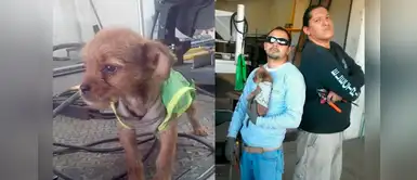 Perrito se ganó el corazón de estos hombres "rudos" y ahora son mejores amigos Perrito se ganó el corazón de estos hombres "rudos" y ahora son mejores amigos