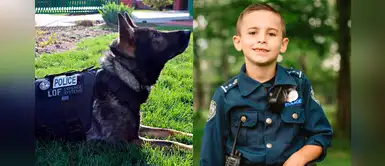 Niño recauda fondos para comprar chalecos antibalas para perritos policía Niño recauda fondos para comprar chalecos antibalas para perritos policía