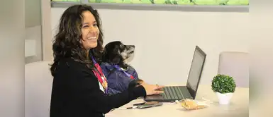 Perú: cadena de tiendas recibe a las mascotas de sus colaboradores en el trabajo Perú: cadena de tiendas recibe a las mascotas de sus colaboradores en el trabajo