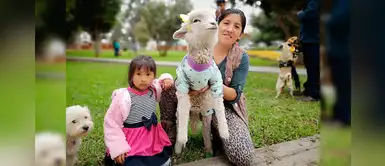 Oveja disfrazada de unicornio se roba los corazones en concurso de Halloween Oveja disfrazada de unicornio se roba los corazones en concurso de Halloween