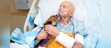 Veterano de guerra pidió ver a su amado perrito como último deseo Veterano de guerra pidió ver a su amado perrito como último deseo