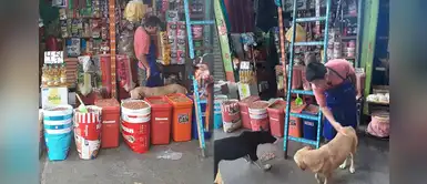 Chimbote: dueño de abarrotes da comida gratis a perritos sin hogar que visitan su negocio Chimbote: dueño de abarrotes da comida gratis a perritos sin hogar que visitan su negocio