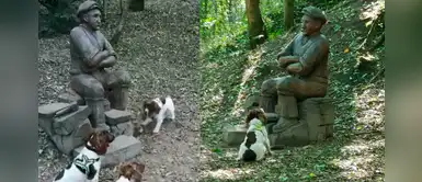 Perrito confunde estatua con una persona e intenta jugar con ella Perrito confunde estatua con una persona e intenta jugar con ella