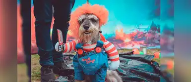Canlloween 2019: concurso de disfraces para mascotas y sus dueños en Surquillo Canlloween 2019: concurso de disfraces para mascotas y sus dueños en Surquillo