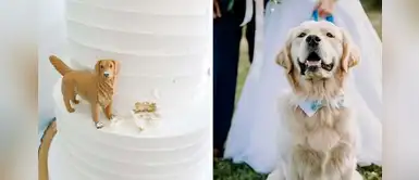 Pareja decidió hacer su torta de bodas en honor a su hermoso perrito Pareja decidió hacer su torta de bodas en honor a su hermoso perrito