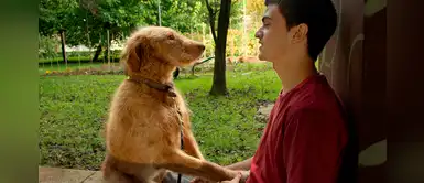 Diecisiete: Oveja y Biel Montoro, la historia de su amistad que va más allá del cine Diecisiete: Oveja y Biel Montoro, la historia de su amistad que va más allá del cine