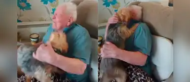 Anciano y su perro tienen emotivo encuentro luego de estar 2 semanas en el hospital Anciano y su perro tienen emotivo encuentro luego de estar 2 semanas en el hospital