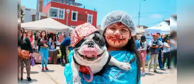 Halloween: perritos se roban las miradas en concurso de disfraces en San Miguel Halloween: perritos se roban las miradas en concurso de disfraces en San Miguel