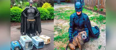 El Batman de la vida real que tiene la misión de rescatar animalitos sin hogar El Batman de la vida real que tiene la misión de rescatar animalitos sin hogar