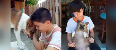 Niño que juntaba sus propinas para alimentar a perros sin hogar ahora tiene su propio albergue Niño que juntaba sus propinas para alimentar a perros sin hogar ahora tiene su propio albergue