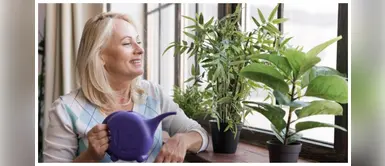 4 hierbas que curan la tristeza 4 hierbas que curan la tristeza