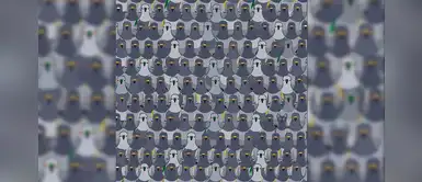 Comprueba tu capacidad visual con este reto ¿Logras ver al gato escondido en la foto? Comprueba tu capacidad visual con este reto ¿Logras ver al gato escondido en la foto?