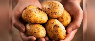 Conoce los maravillosos beneficios de la papa peruana Conoce los maravillosos beneficios de la papa peruana