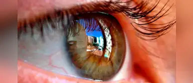 ¿Sabías que los diabéticos pueden perder la visión? ¿Sabías que los diabéticos pueden perder la visión?