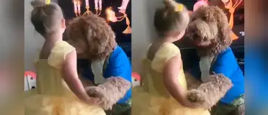 Una niña y su perrito cautivan a miles con tierno baile de 'La bella y la Bestia' Una niña y su perrito cautivan a miles con tierno baile de 'La bella y la Bestia'